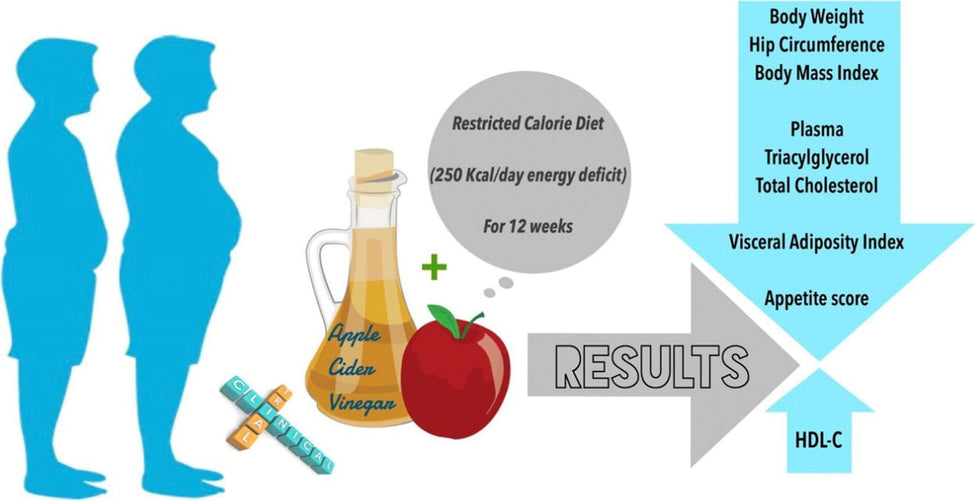 Beneficial effects of Apple Cider Vinegar on weight management, Visceral Adiposity Index and lipid profile in overweight or obese subjects receiving restricted calorie diet: A randomized clinical trial